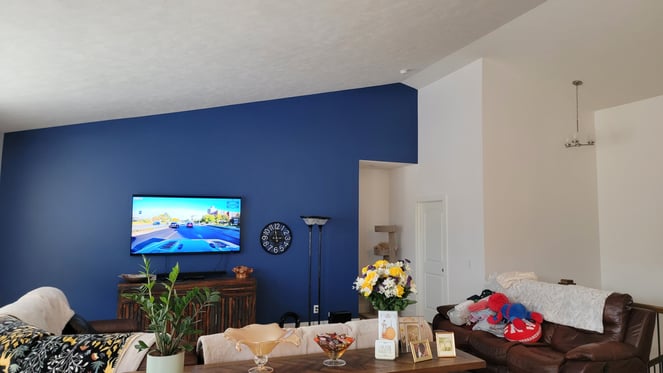 Living room with a rich dark blue accent wall and the rest of the walls painted a bright white.