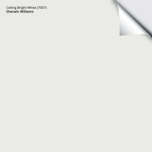 4630_Ceiling_20Bright_20White_20_7007