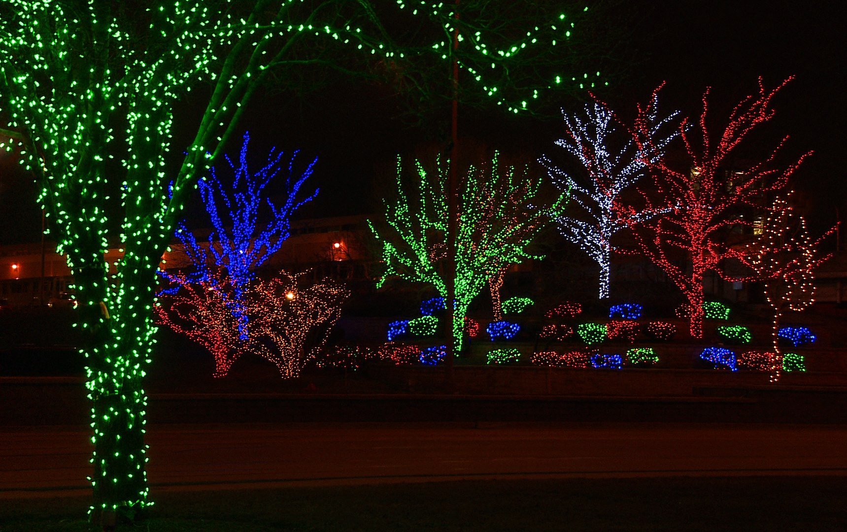 Christmas trees covered in christmas lights for home holiday installation in Omaha Nebraska.