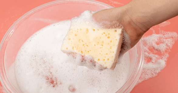 Hand dipping yellow sponge into a bucket of soapy water to clean interior painted walls and woodwork.