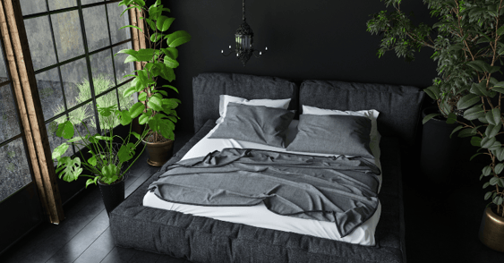 Bedroom with black walls and floor and black and grey bedding and live plants.