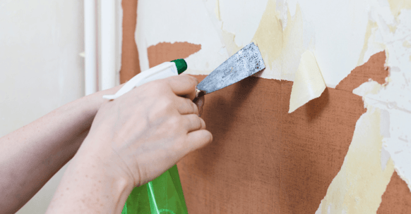 Person spraying wallpaper to scrape it off the wall.