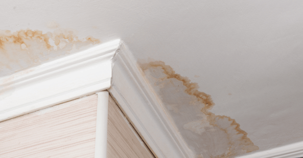 Ceiling  painted white with yellow stains from water damage.