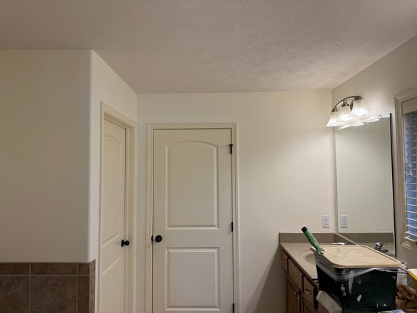 Bathroom with light white walls and warm white doors and trim.
