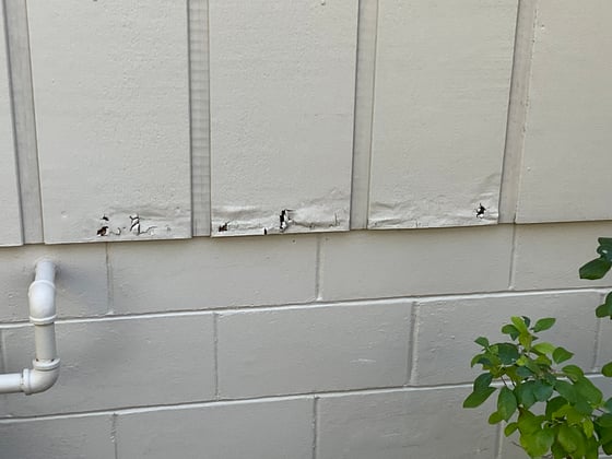 Damage on exterior paint before painting the home.