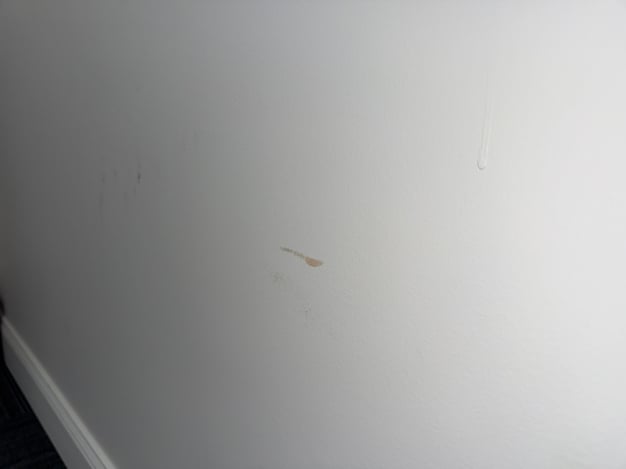 Scuff marks on white low quality builder paint in a home.