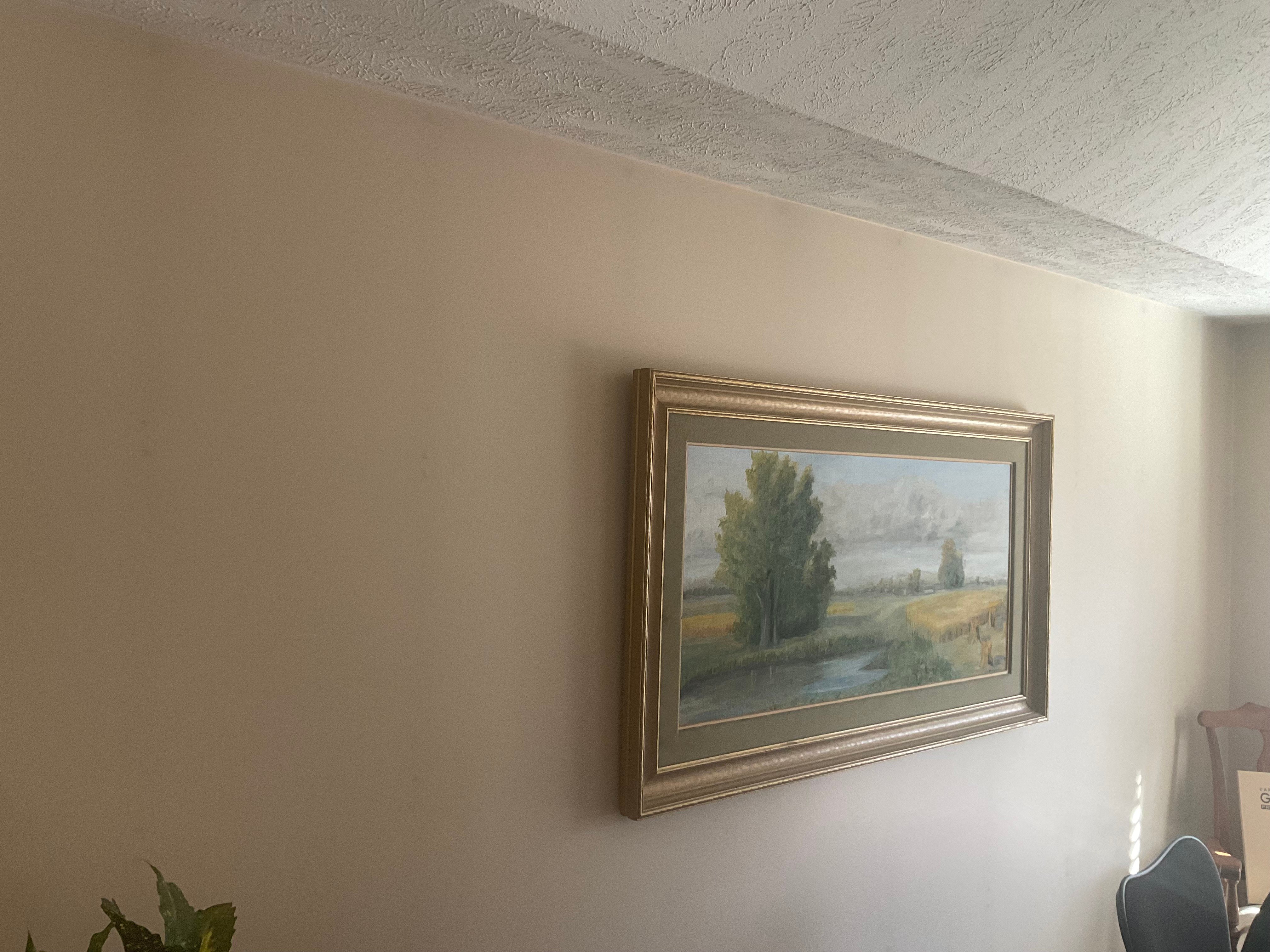 Interior living room wall painted a beige color with white ceiling with dark shadow lines over where the studs are in walls.