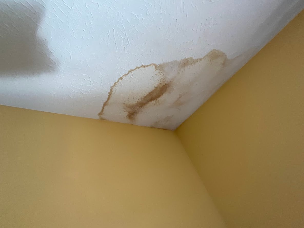 Water stain on white painted ceiling in the corner of a room with yellow walls.