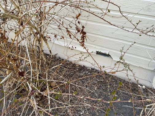 White siding on exterior of house that is peeling.