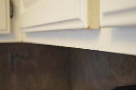 Cabinets with minor white paint chipping.