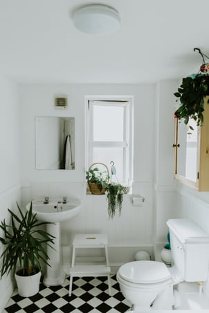 Small bathroom with white walls and plants.