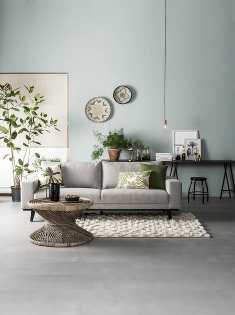 Living room with light blue painted wall, with a few plants and a gray couch.