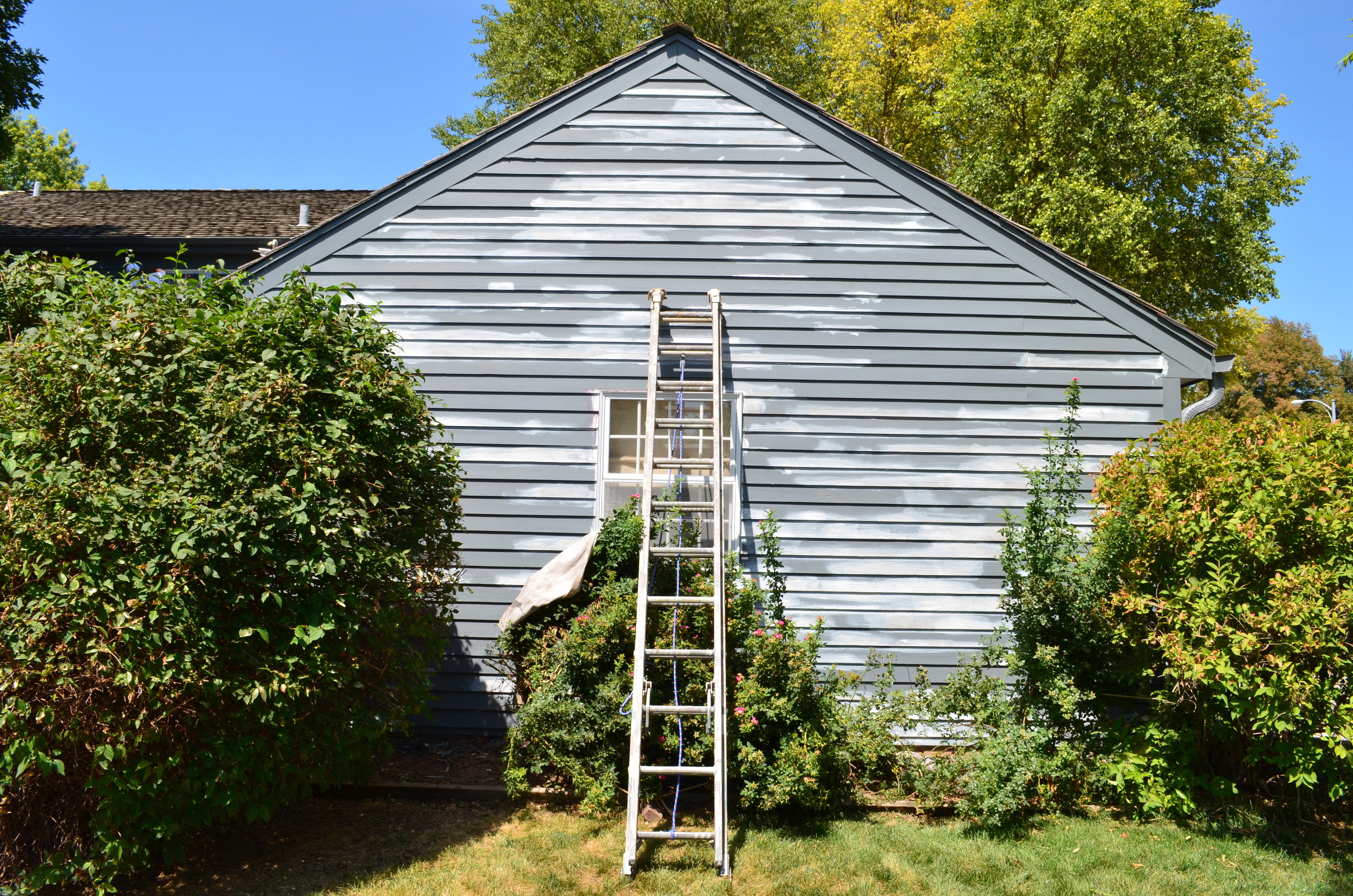 The Importance of an Exterior Paint Warranty