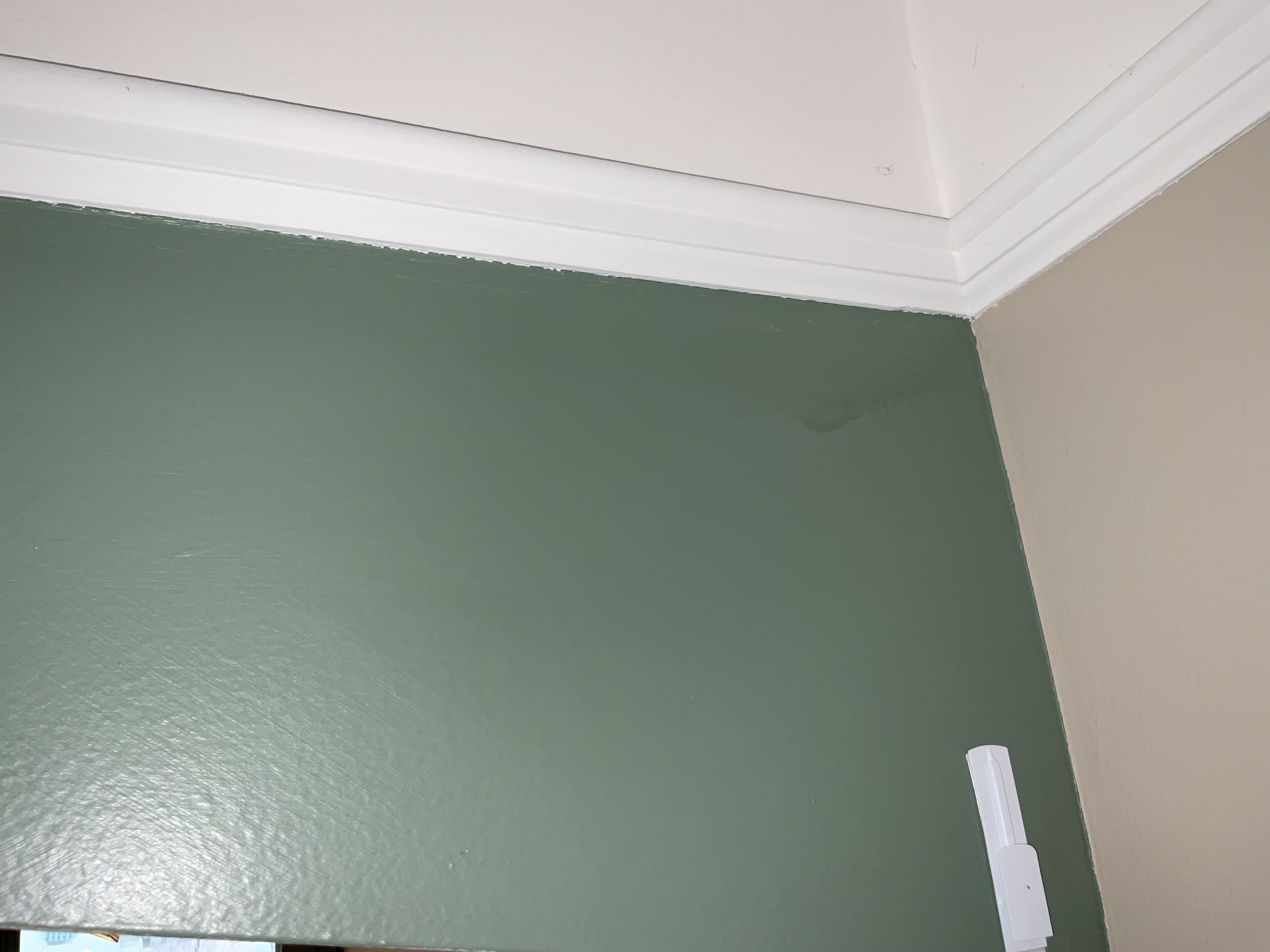 Deep green colored wall with white trim and white paint bleeding onto green wall.