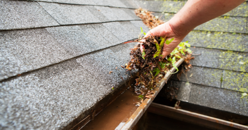 Person removing leaves and moss from gutters to clean their home's roof in Omaha, NE.