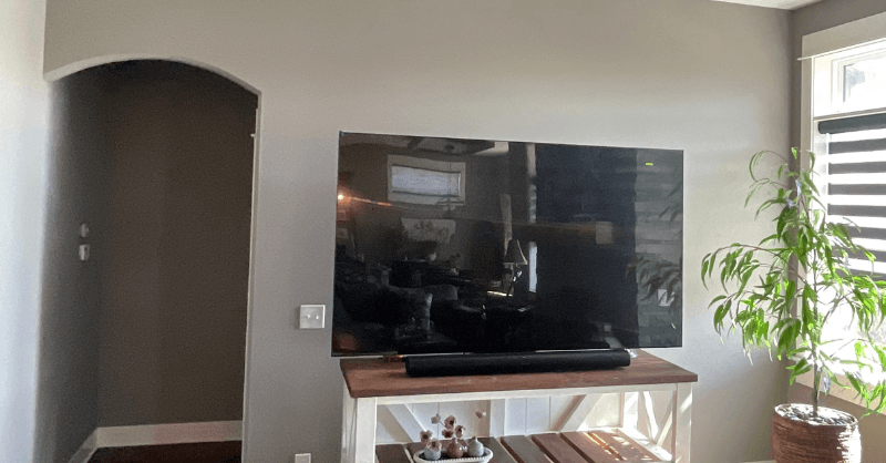 living room painted light grey, TV and plant shown